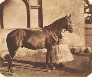 Sultan, mitten av 1850-talet.