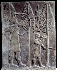 Fågeljaktsscen. Lågrelief i albaster från Palace of Sargon II eller Sharroukin, kung av Assyrien till Khorsabad (Khunsabad) (Mesopotamien), Irak. 722-705 f.Kr. Paris. Louvren