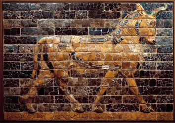 Mesopotamien: ”Tjur i rörelse”. Emaljerade tegelstenar från Ishtarporten. Babylon (Irak) under kung Nebukadnessar II:s tid. Iraks nationalmuseum, Irak
