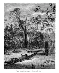 Fiskegrav, Papua, 1800-talet