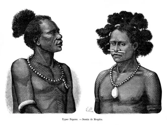 Papuanska typer, 1800-talet