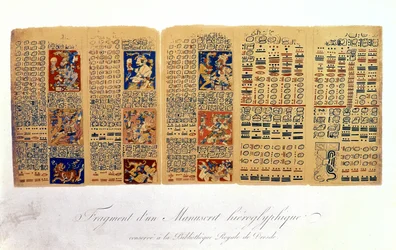 Kopia av ett fragment av Dresden Codex som visar Maya astronomiska beräkningar