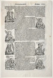 Nürnbergkrönikan, 1493