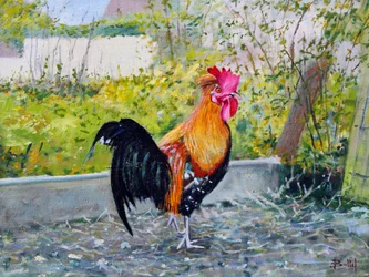Le Coq Lico, 2003 (olja på pannå)