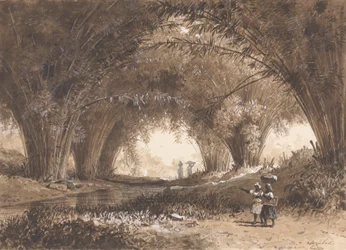 Bambubågar, St. Anns