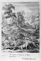 Actaeon förvandlades till en hjort och slukade av sina hundar, 1655