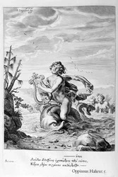 Arion räddad av en delfin, 1655