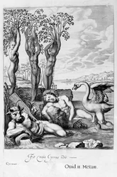Cygnus förvandlades till en svan och Phaetons systrar till poppel, 1655
