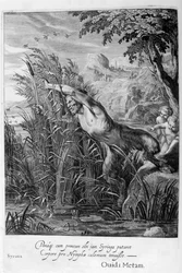 Pan förföljer Syrinx som förvandlas till en vass, 1665
