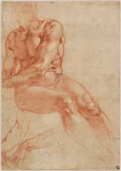 Sittande ung manlig nakenbild och två armstudier (recto), ca 1510-11