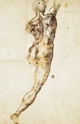 Manlig nakenfigur sedd bakifrån, studie till Slaget vid Cascina, av Michelangelo (1475-1564), teckning.