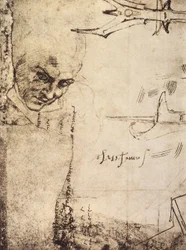 Ansikte, teckning av Michelangelo, Cabinet of Drawings and Prints, Uffizi Gallery, Florens