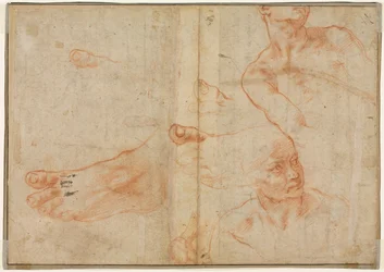 Figurstudier för det sixtinska taket, 1510-11.