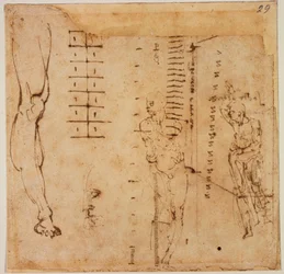 Figurstudier