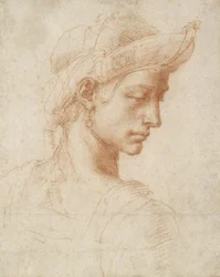 Ideal Head, c.1518-20 (röd krita på papper)