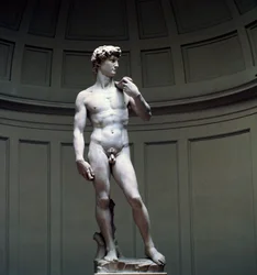 Michelangelos David, 1500-talet