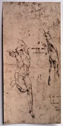 Naken man, armstudie Teckning av Michelangelo Buonarroti dit Michelangelo (Michelangelo eller Michel Ange