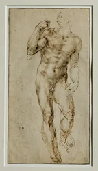 Manlig nakenbild, framifrån, ca 1502-1506 ...
