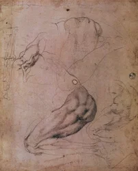 Sixtinska kapellets tak (1508-12): skisser av Evas gestalt från scenen av Ursynden (kol på papper)