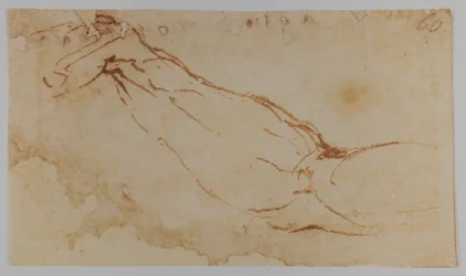 Skiss till höger arm på "Leda", 1528-1530 (teckning)