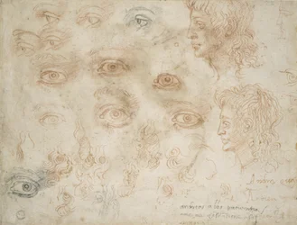 Studies of Two Heads, c.1525 (krita på papper)