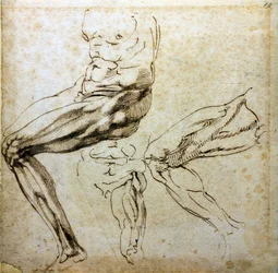 Studier av ben, 1524-1525