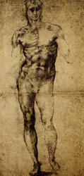 Studie för en manlig nakenstudie, Michelangelo Buonarroti (1475-1564), teckning, Paris, Louvren