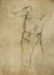 Studera för en maskulin byst, teckning av Michelangelo. Casa Buonarroti, Florens