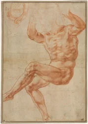 Studie för naken ungdom över profeten Daniel recto, 1510-1511.