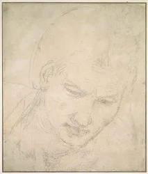 Studie av ett huvud (svart krita på vitt papper)