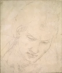 Studie av ett huvud, c1490-1560