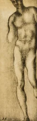 Studie av en maskulin figur, teckning av Michelangelo. Casa Buonarroti, Florens