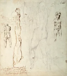 Studie av Kristusbarnet och en anatomisk teckning med anteckningar (svart krita och brunt bläck på papper) (verso)