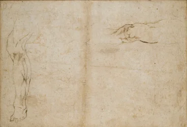 Verso: Studier av en mans ben, c1490-1560