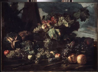 "Stilleben med druvor" Målning av Michelangelo Pace da Campidoglio (1610-1670) 1650-1660 Mått 98x134 cm Eremitagemuseet, Sankt Petersburg