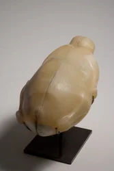 Tvådelat kärl i form av en anka (alabaster) (se även 249013-15)