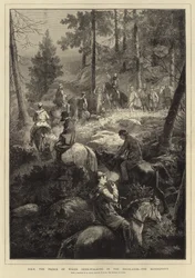 H R H prinsen av Wales Deer-Stalking (gravyr)