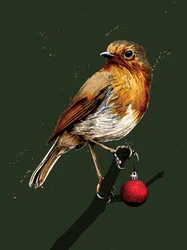 Christmas Robin on Forest Green, 2020