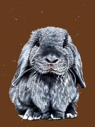 Grey One The Bunny on Burnt Orange, 2020
