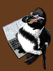 New Job Penguin på Burnt Orange, 2020