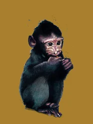 The Baby Makaque on Golden Yellow, 2020