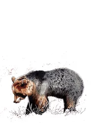 Björnen på vitt, 2020