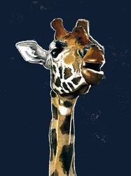 Giraffen på midnattsblått, 2019