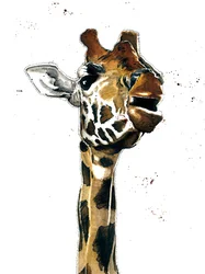 Giraffen på vitt, 2019