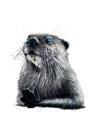 Otter on White, 2020