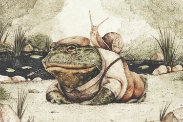 En groda klädd i elegant klädsel