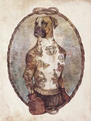 En tatuerad boxervalp