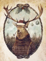 En vild jul