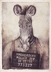 Mysteriet med Zebra-mugshotet