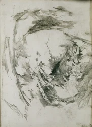 Pärlmussla, 1904